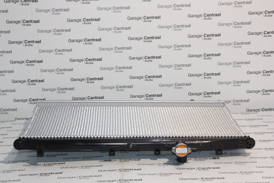RADIATOR SAN 06-