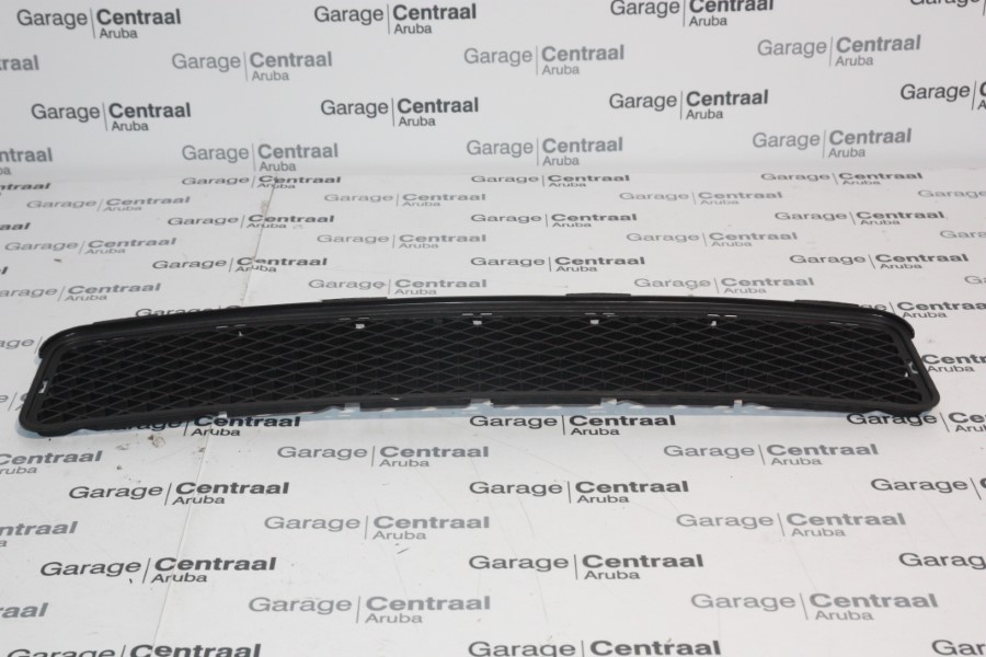GRILLE TUC CNTR FR/BUMPER