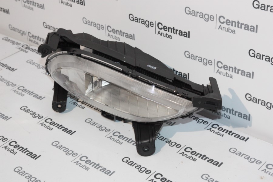 FOG LAMP SON RH 10-