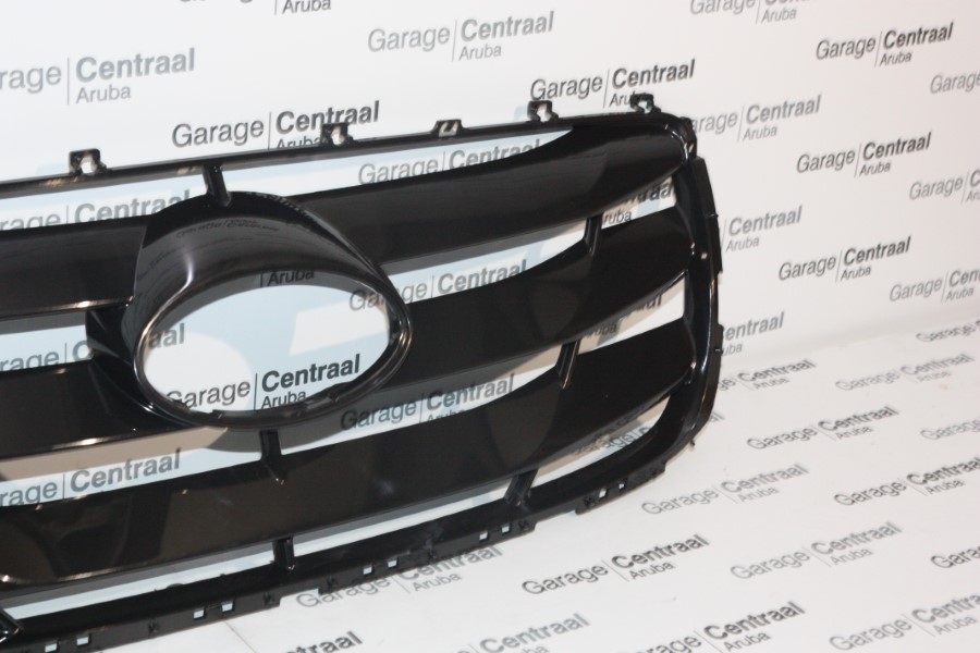 GRILLE SAN RADIATOR 09-