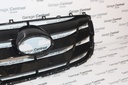 GRILLE SAN RADIATOR 09-