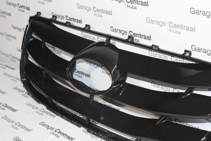 GRILLE SAN RADIATOR 09-