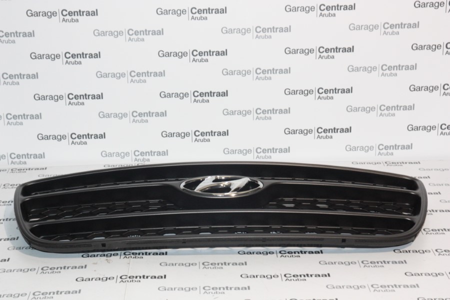 GRILLE SAN 06-