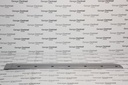 MLD TRA RH RR/DR W/LINE 