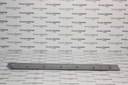 MLD TRA LH RR/DR W/LINE 