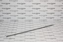 MLD TRA LH RR/DR CHROME STRIP 