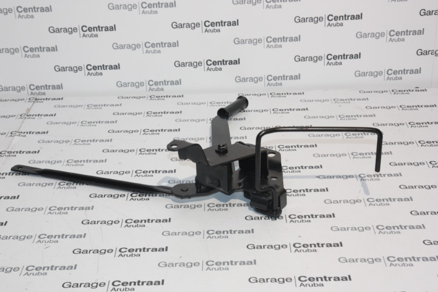 HANDLE HD65 CABIN ASSY 