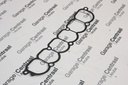 GASKET TER INT/MAN 