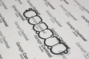 GASKET TER INT/MAN 