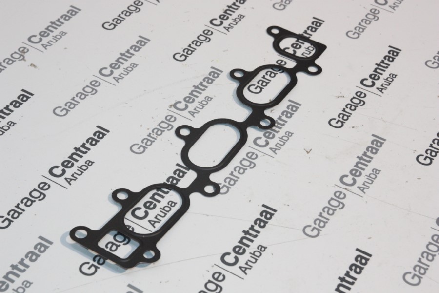 GASKET GET INT/MAN {DSL} 