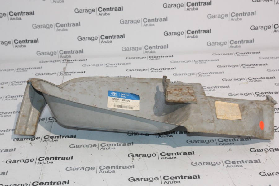 PANEL ACC LH T/LAMP HSNG 02- 