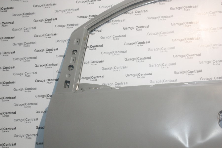 FR/DOOR H-1 LH 04- 