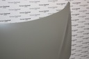 HOOD SAN DSL 06- 