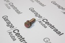BOLT HYU M10X30 