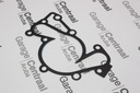 GASKET SAN SON W/PUMP V6 