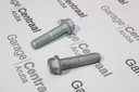BOLT TIB PLATE 