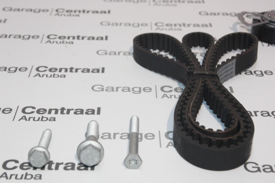 T/BELT CAD (+ TENSIONER) (GSL) 