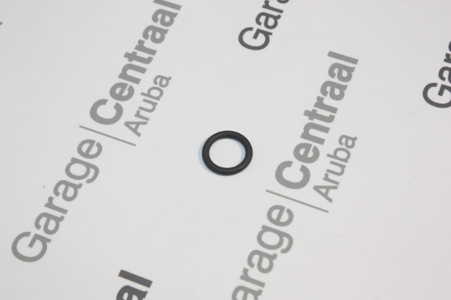 O/RING V/W 