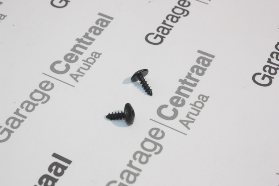 SCREW 