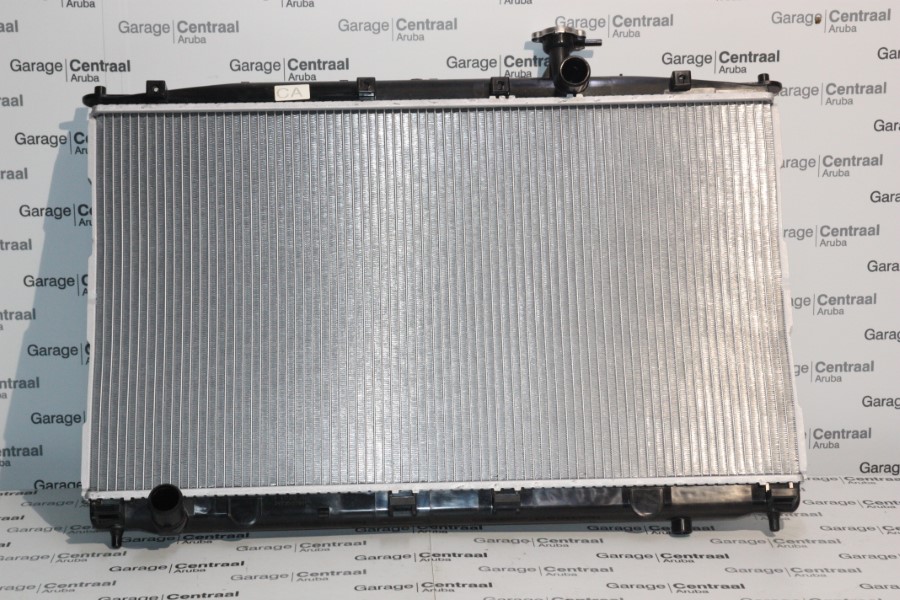 RADIATOR SAN 06-