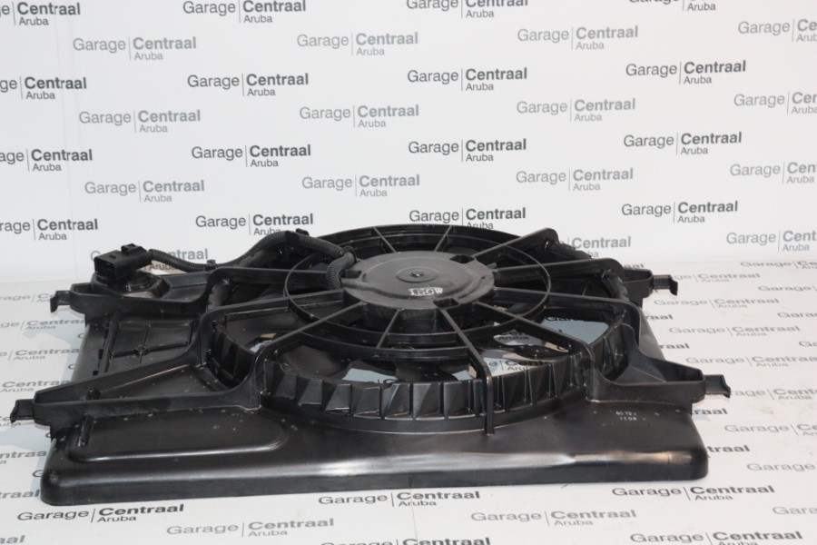 FANMOTOR ELA RAD ASM 06-