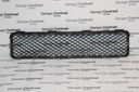 GRILLE TUC CNTR FR/BUMPER