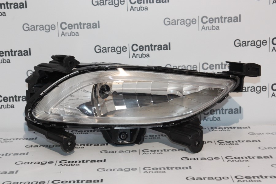 FOG LAMP SON RH 10-