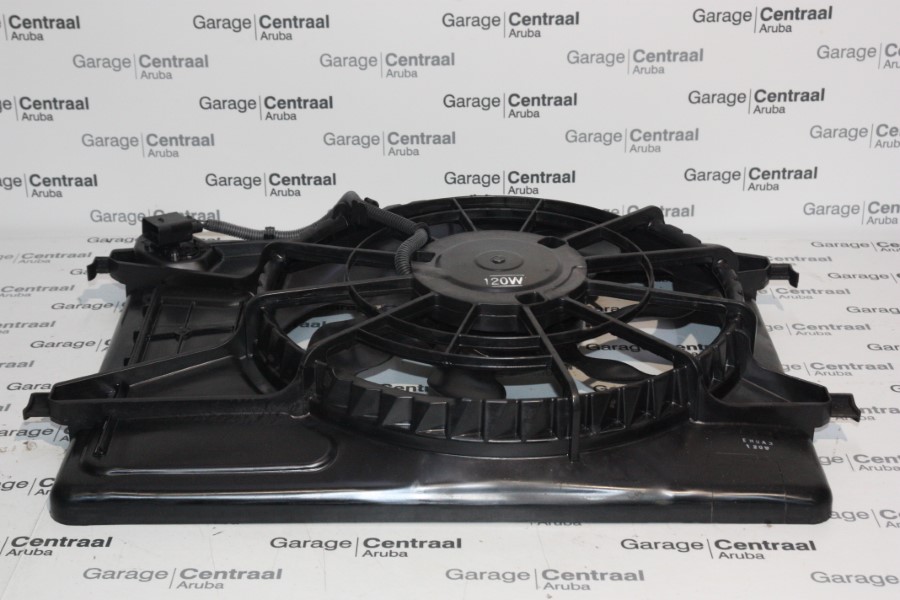 FANMOTOR ELA RAD ASM 06-0- 