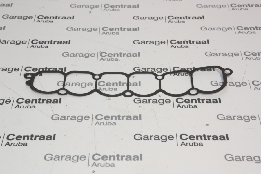 GASKET TER INT/MAN 