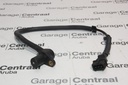SENSOR TER CRANK/POS 