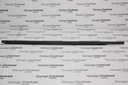 W/STRIP SAN LH FR/DR HORIZ 06- 