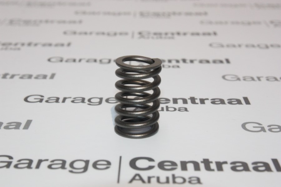 SPRING ELA VALVE (DSL) 