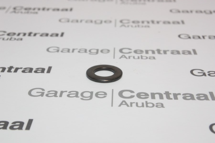 WASHER HD65 PLAIN RR GATE 
