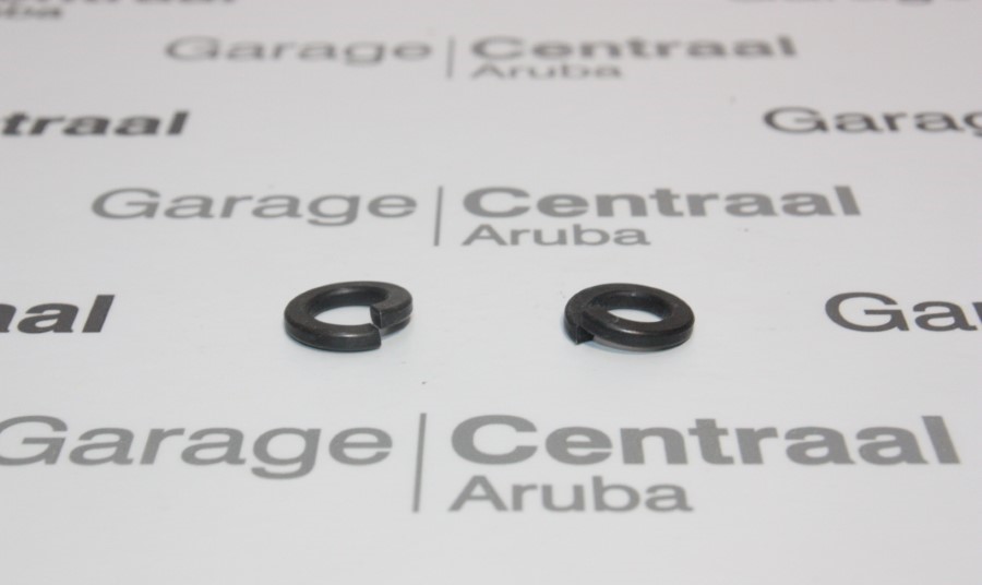 WASHER SPRING H-1 