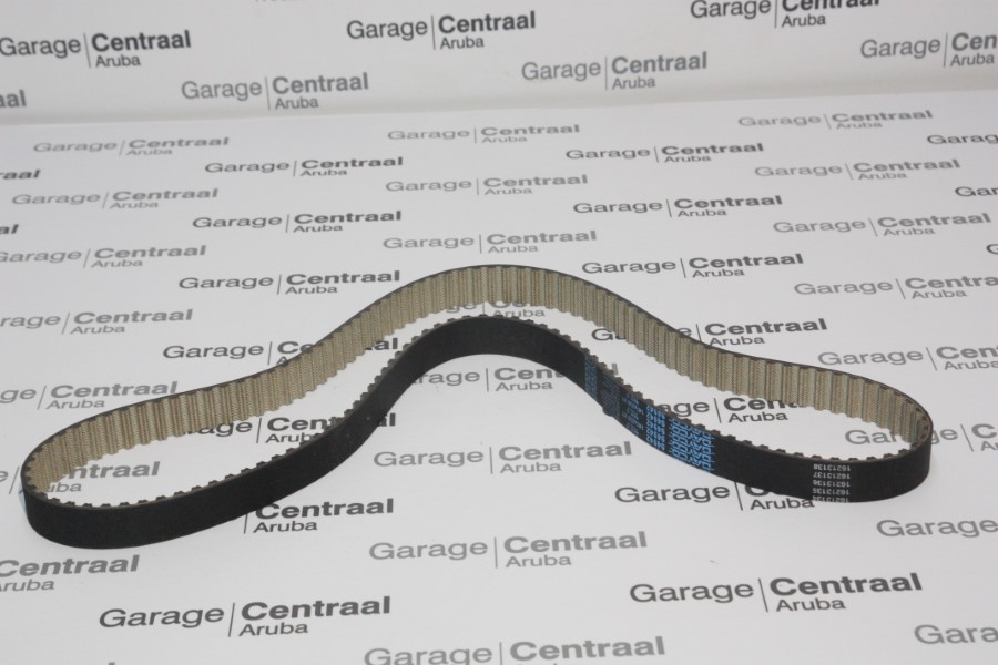 T/BELT 25X141 CAD 