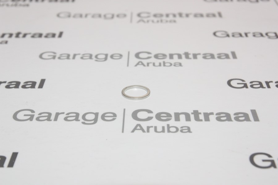 SEAL TIGUAN RING WATER 