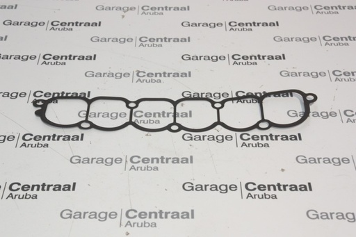 [2921539850] GASKET TER INT/MAN 