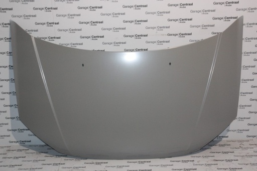 [664001C010] HOOD GET 02-04 