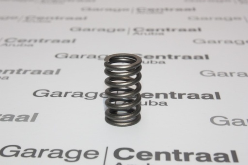 [2222137101] SPRING HYU VALVE 