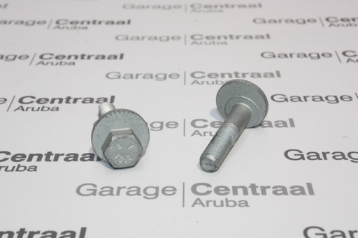 [552602W000] BOLT SAN ASSIT 